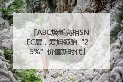 ABC焕新亮相SNEC展，爱旭领跑“25%”价值新时代