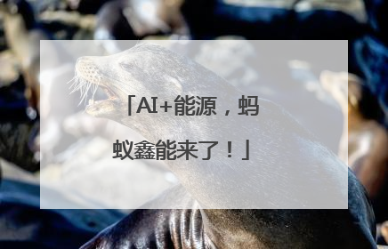 AI+能源，蚂蚁鑫能来了！