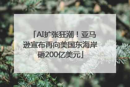 AI扩张狂潮！亚马逊宣布再向美国东海岸砸200亿美元