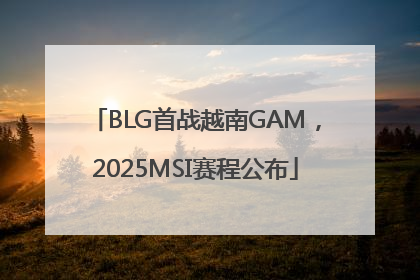 BLG首战越南GAM，2025MSI赛程公布