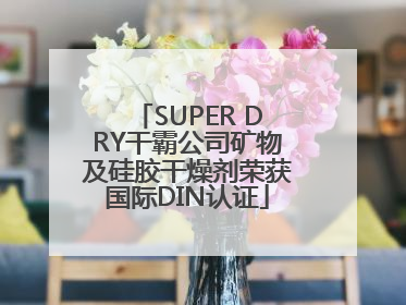 SUPER DRY干霸公司矿物及硅胶干燥剂荣获国际DIN认证