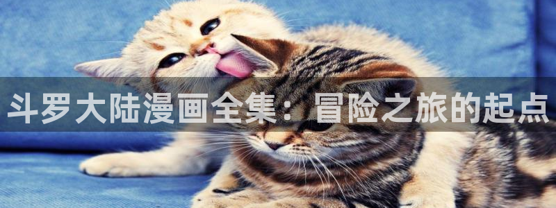 羞羞漫画下拉式免费看